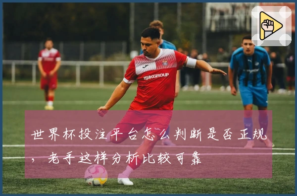 世界杯投注平台怎么判断是否正规，老手这样分析比较可靠