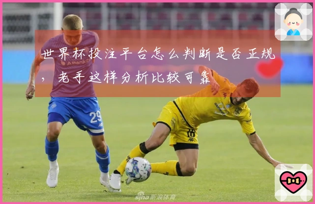 世界杯投注平台怎么判断是否正规，老手这样分析比较可靠